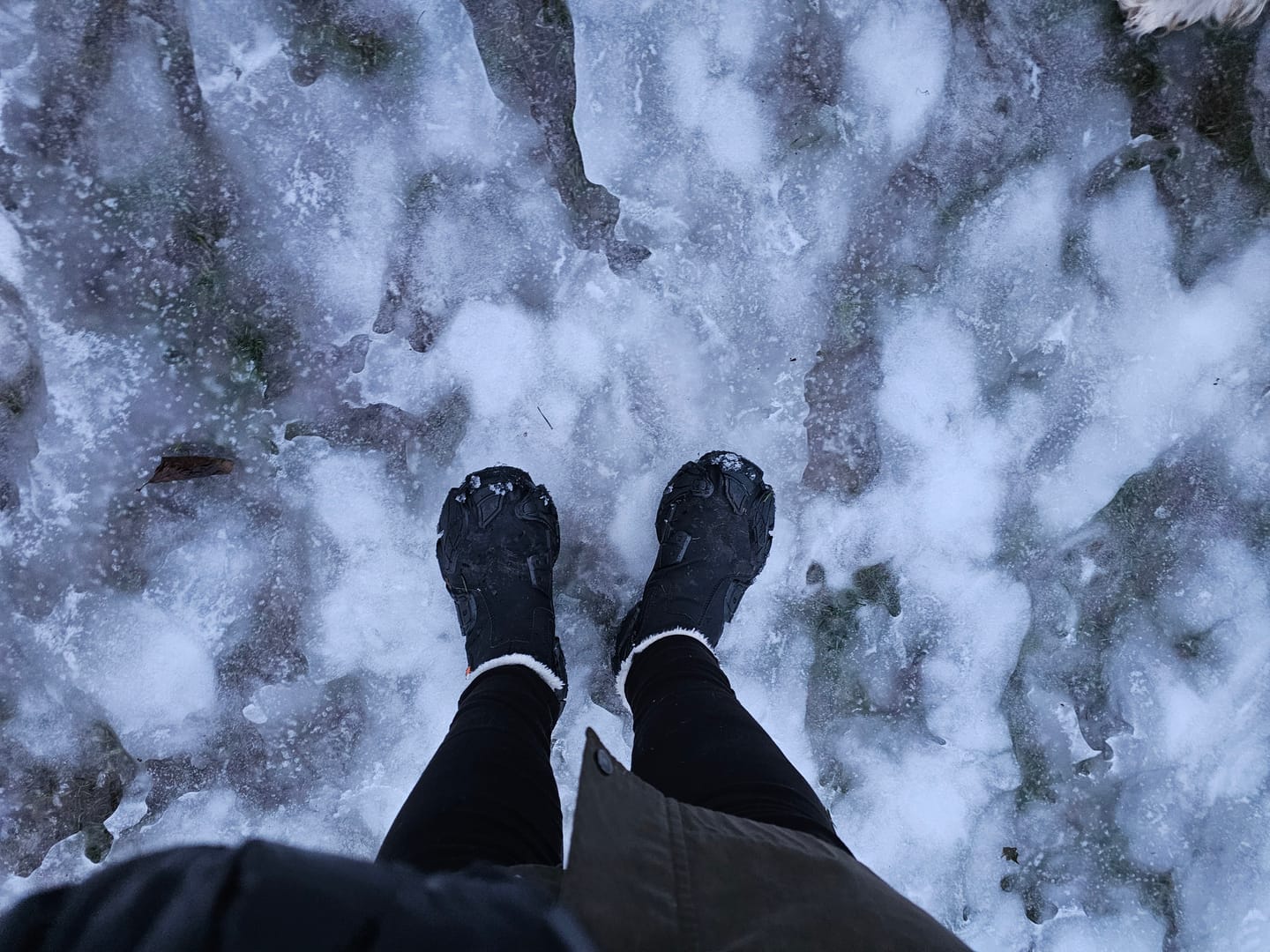 Customer photo review of ThermaBoots™ Fleeced Waterproof Boots