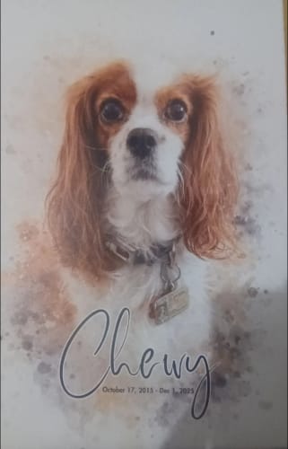 Customer photo review of Custom Watercolor Art Wrapped Pet Canvas