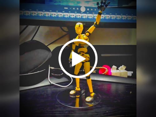 Customer video review of Bumblebee Bundle!