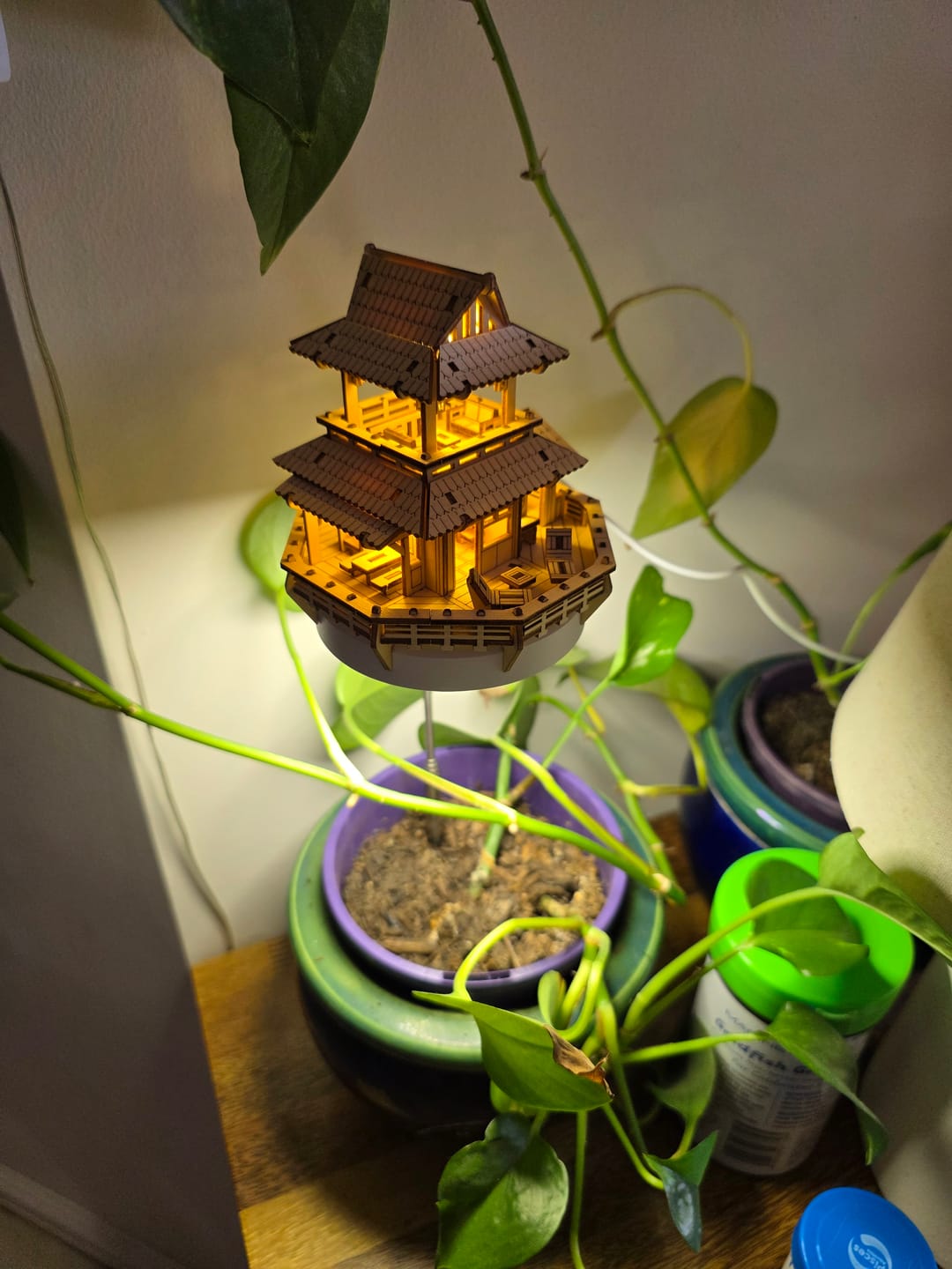 Customer photo review of Sunrise Terrace + Grow Light