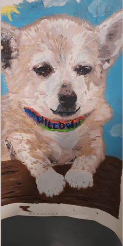 Customer photo review of Custom Pet Paint By Numbers