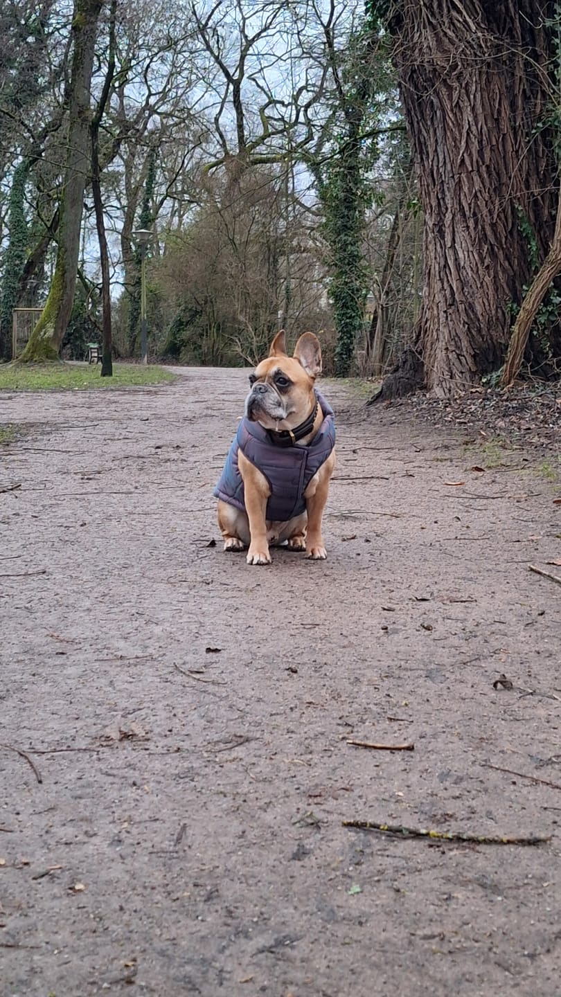 Customer photo review of WarmShield Water-Resistant Jacket - Cosmic