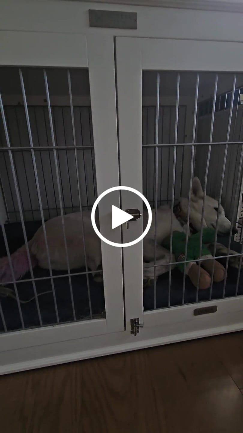 Customer video review of Pillow Edge Crate Mat Cover