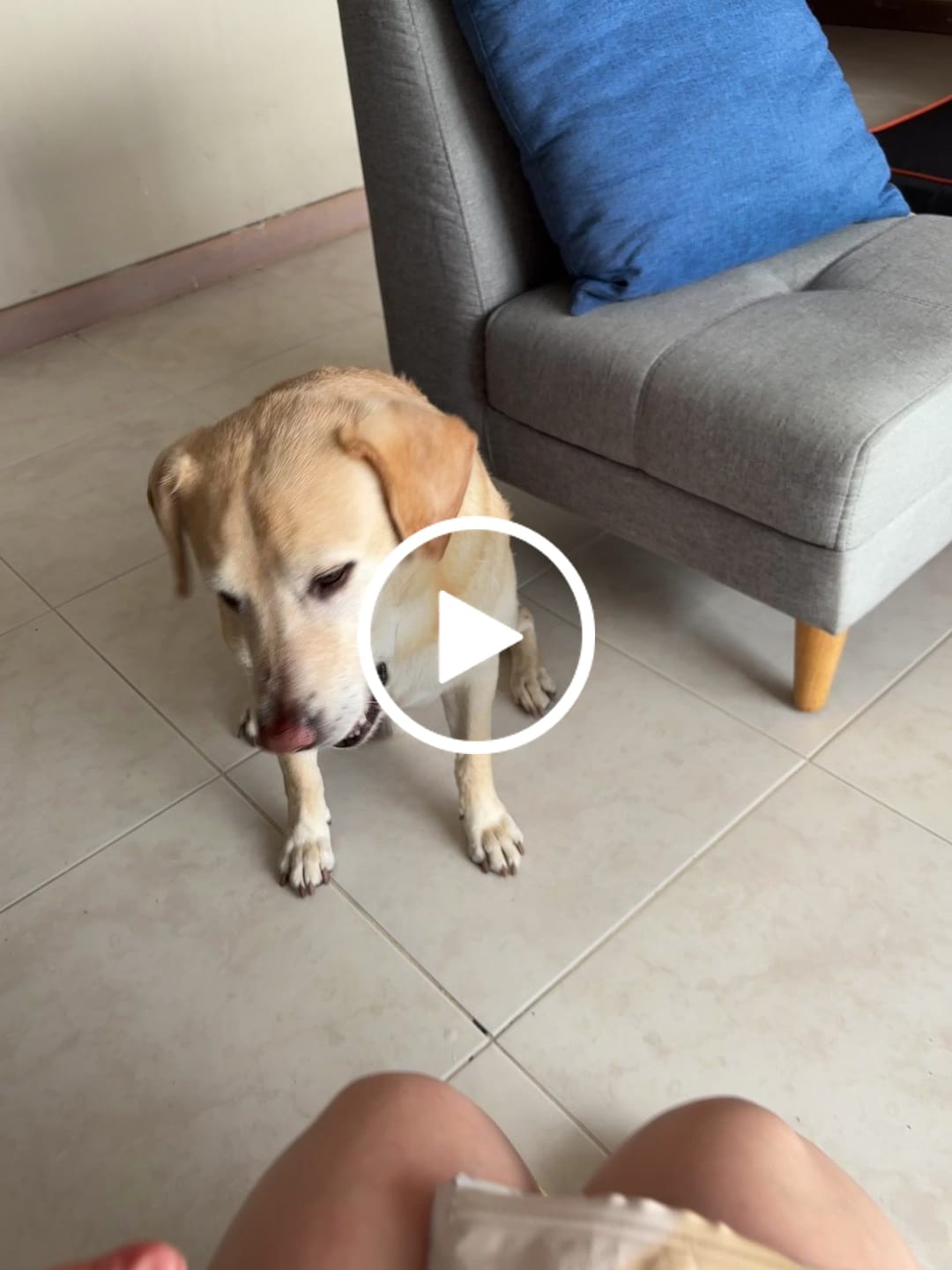 Customer video review of Cubipremios hígado horneado 300g