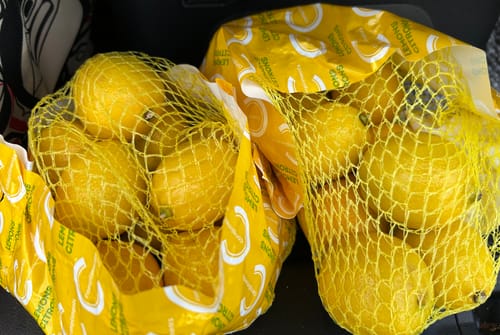 Customer's photo of two mesh bags of lemons, a visual play on the 'Lem' massager name and review.