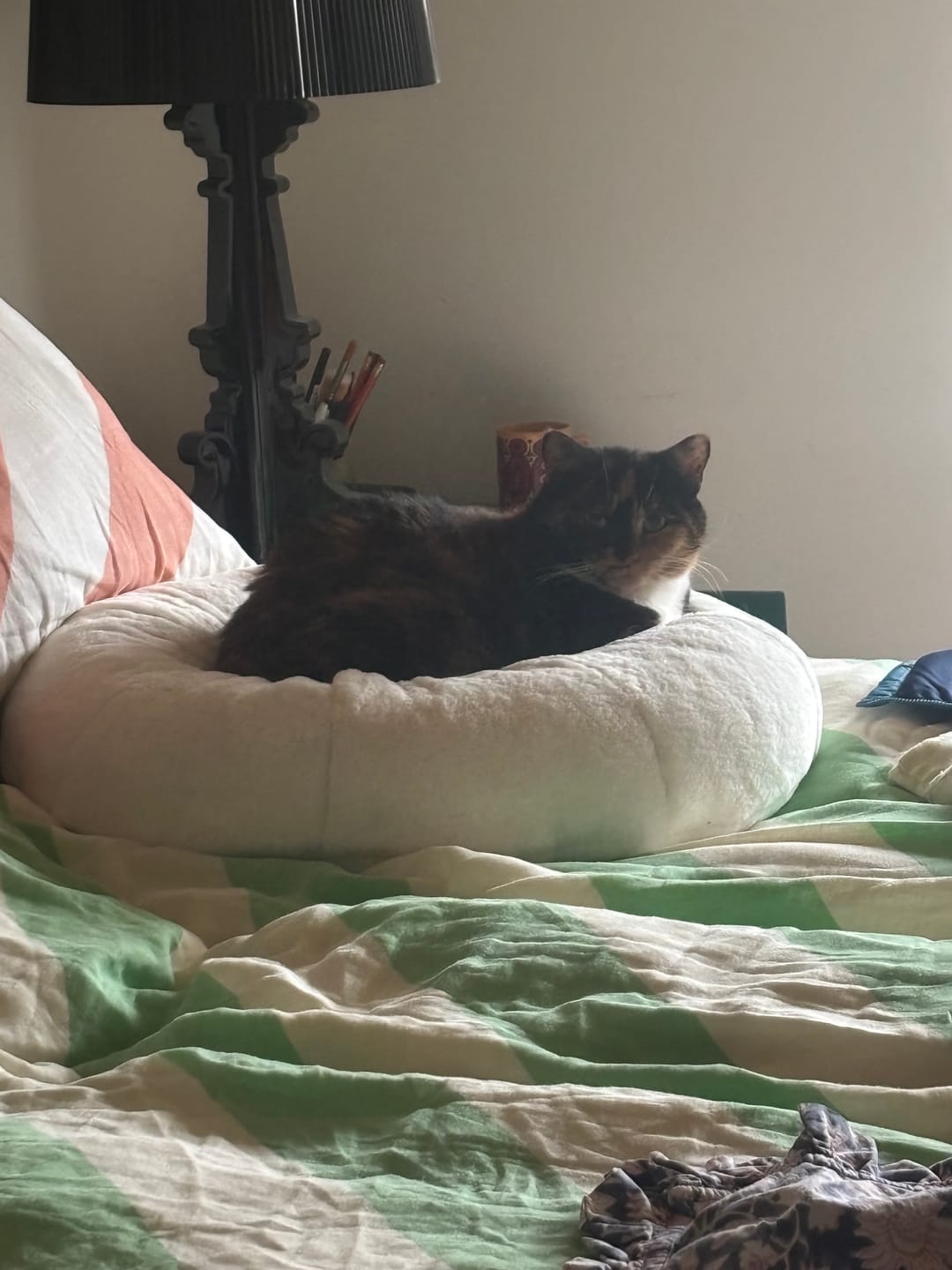 Customer photo review of Sourdough Pudding Bed