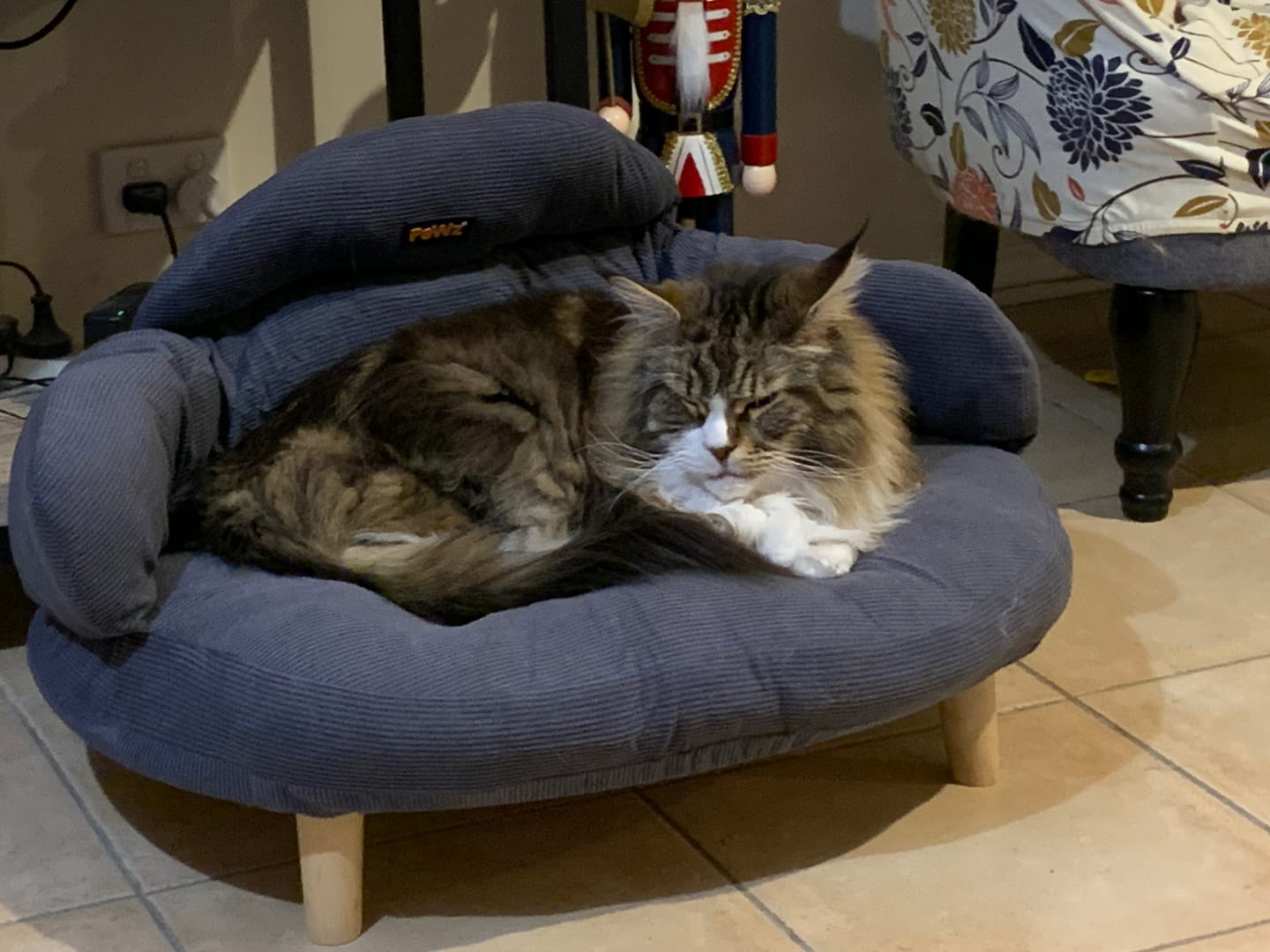 Customer photo review of CloudNest Elevated Pet Sofa Bed