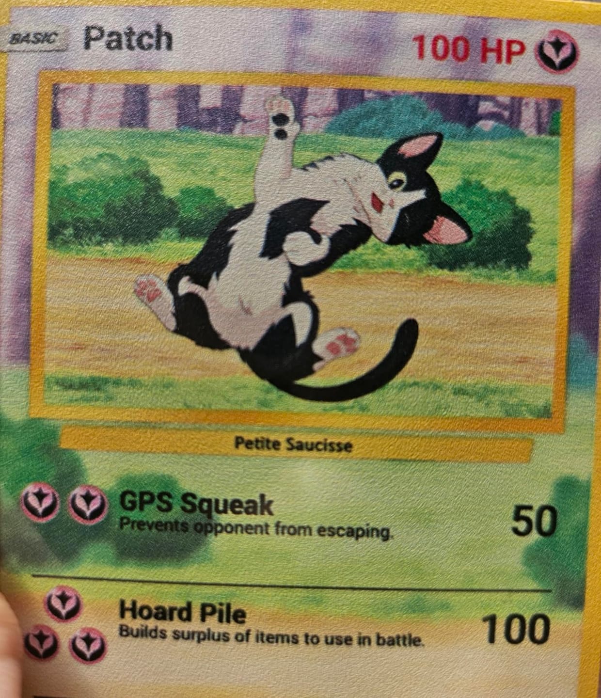 Customer photo review of Custom Pokémon Card for Pet Lovers, Personalized Pokémon Card with Pet Photo for Dog Mom Cat Mom Dog Dad Cat Dad - CPC-08