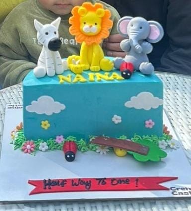 Customer photo review of Half Jungle Design Cake
