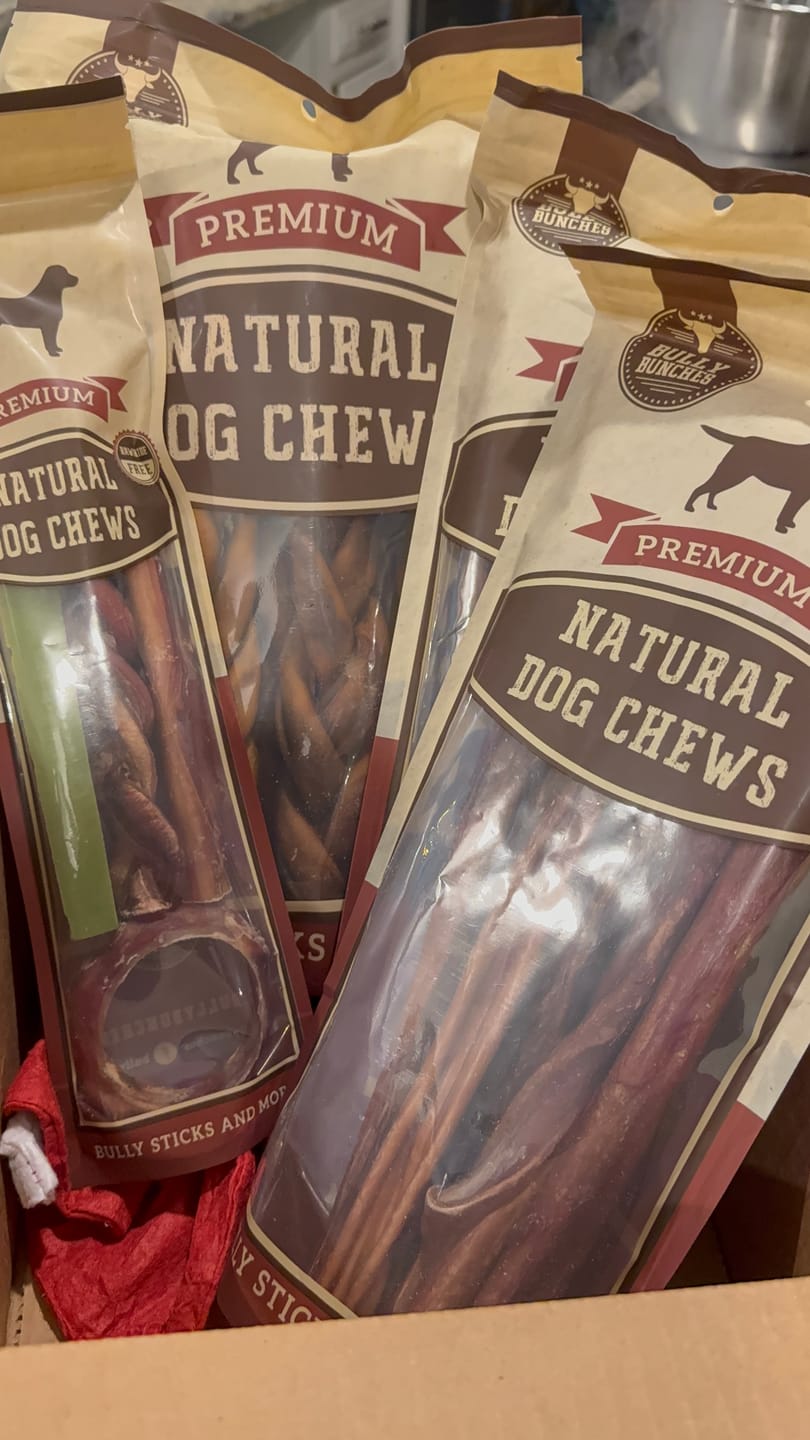 Customer photo review of 10-12 Inch Champion Chew