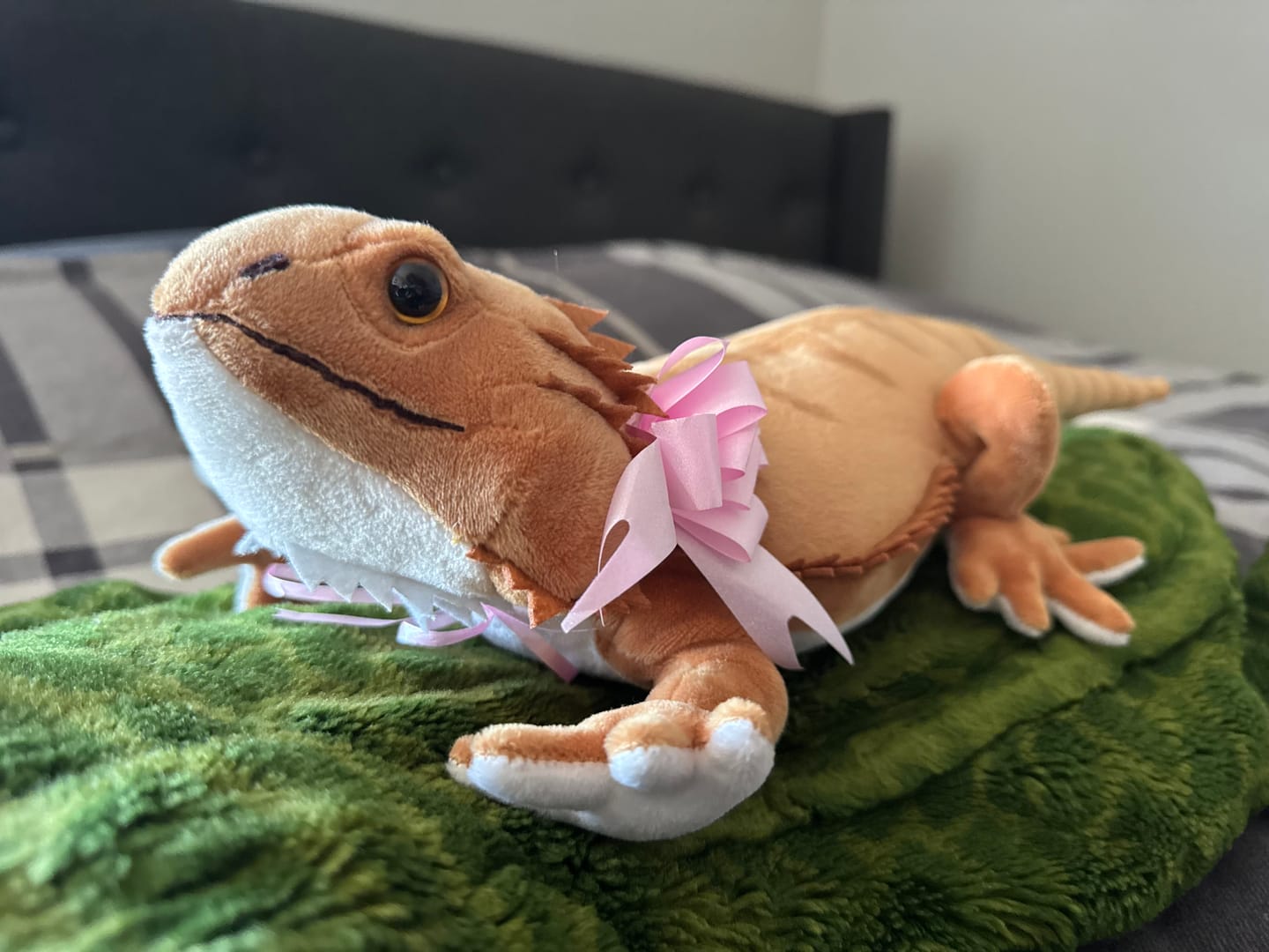 Customer photo review of Bearded Dragon Lizard Soft Stuffed Plush Toy