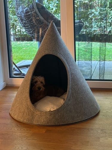 Customer photo review of Tonto - Luxury Dog Tipi