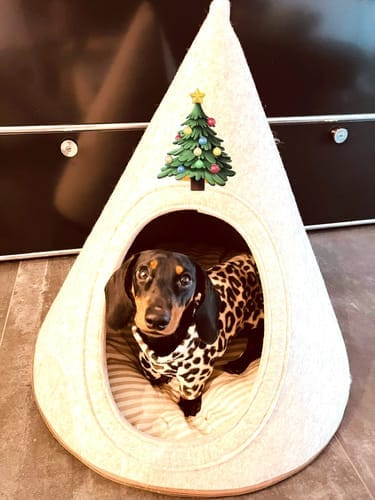 Customer photo review of Harry - Cord / Teddy - Luxury Car Sear