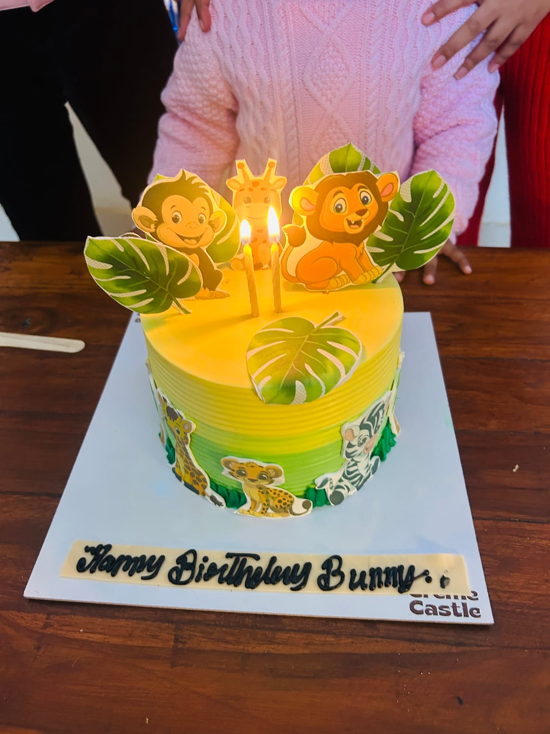 Customer photo review of Jungle Paradise Cake