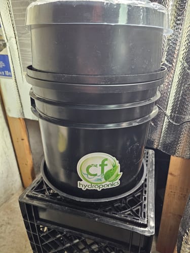 Customer photo review of Aeroponic 9 Site 3 gallon Cloner
