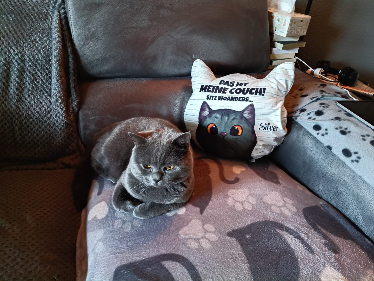 Customer photo review of Unsere Couch - Individuelles Formkissen
