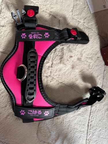Customer photo review of 【プレミアム版】FunFunPet 高機能ハーネス （お名前タグ作成サービス付き）