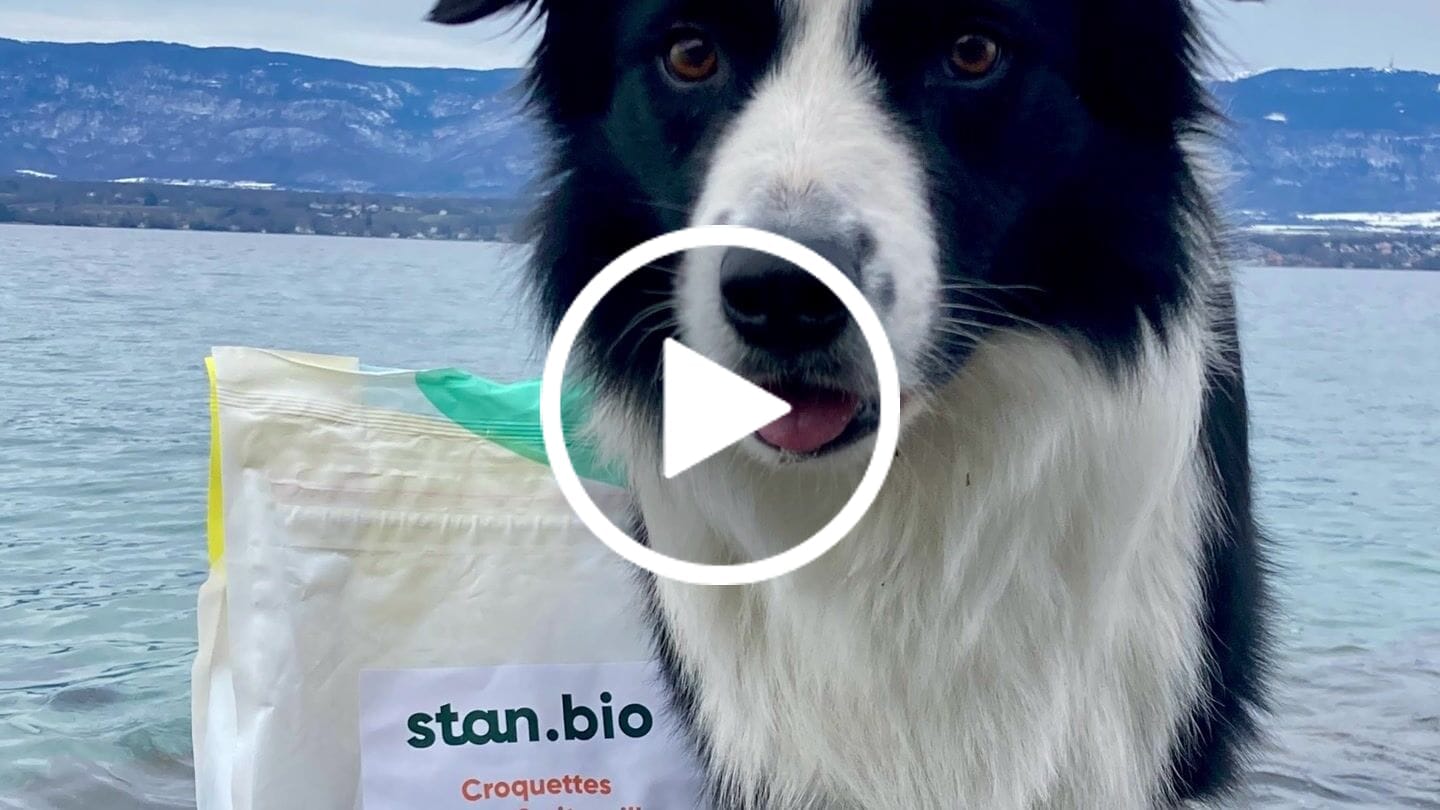 Customer video review of Croquettes Poulet & Citrouille - Chien Moyenne & Grande race