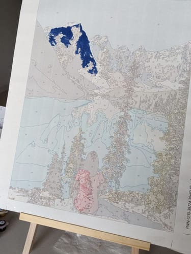 Customer photo review of Custom Landscape Paint By Numbers