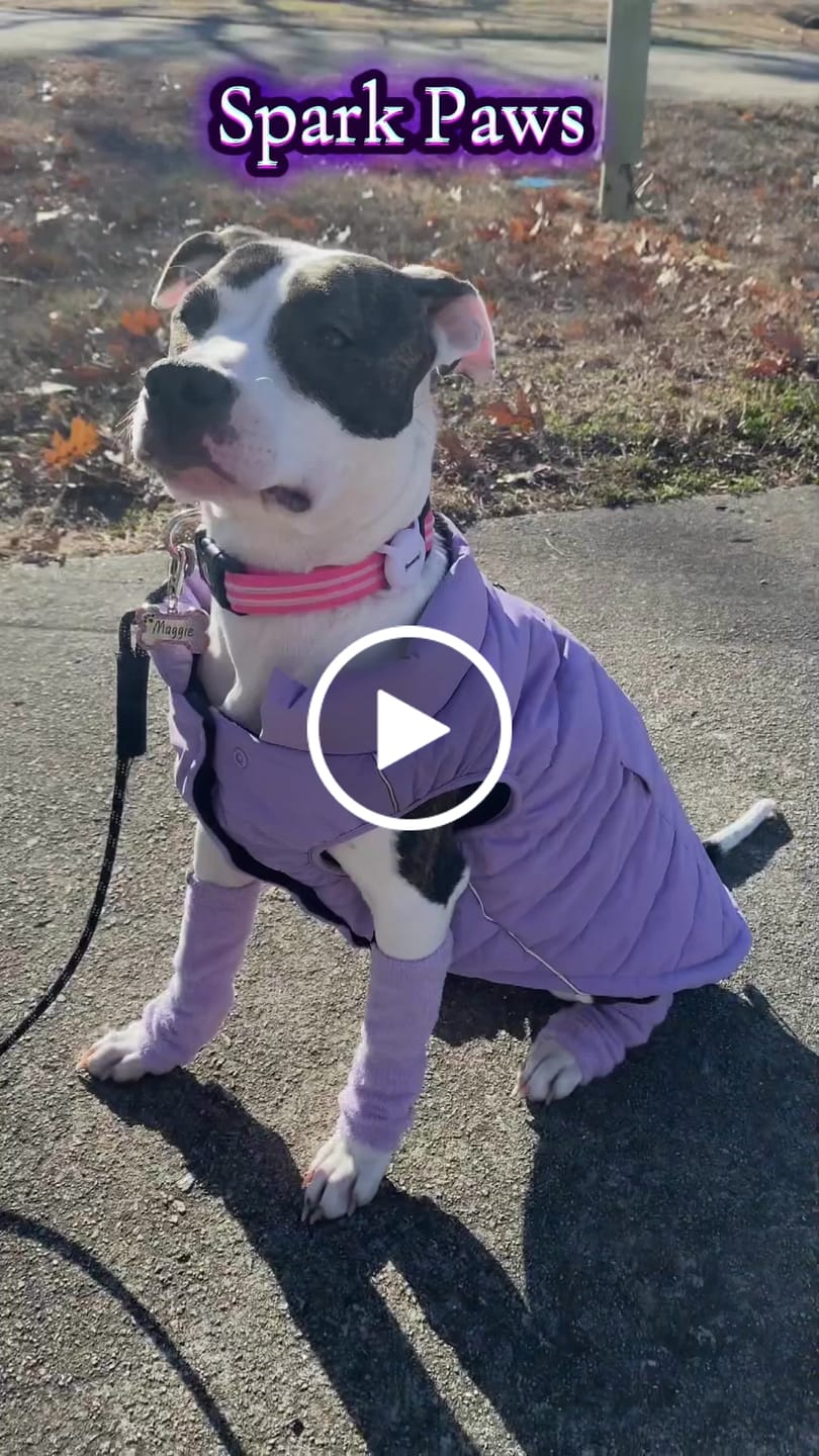 Customer video review of WarmShield Water-Resistant Jacket - Lilac