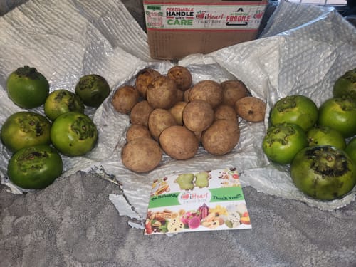 Customer photo review of Sapodilla (Nispero/Naseberry)