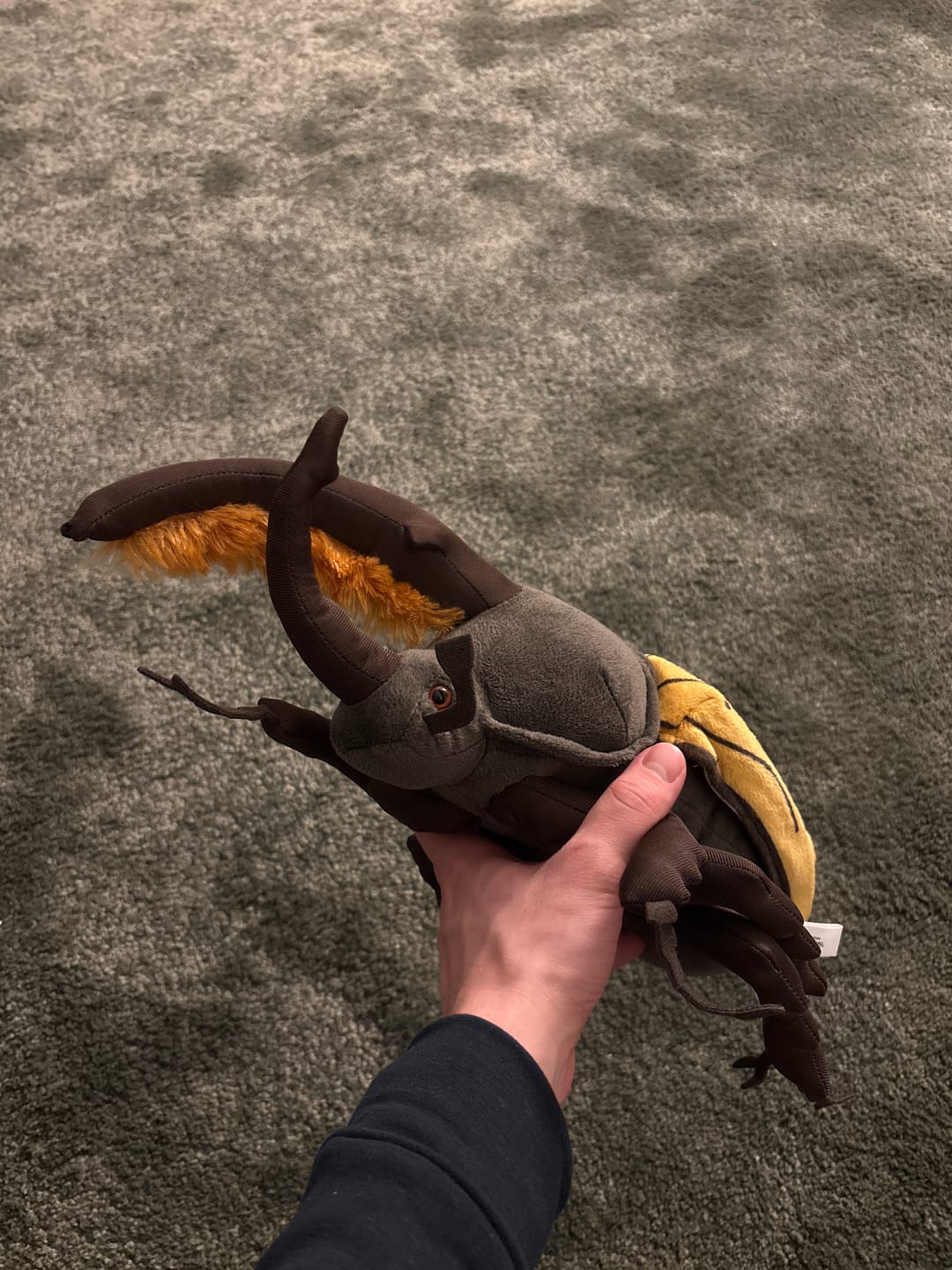 Customer photo review of Hercules Beetles Soft Stuffed Plush Toy