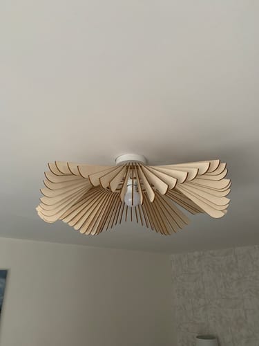 Customer photo review of Rose | Plafonnier