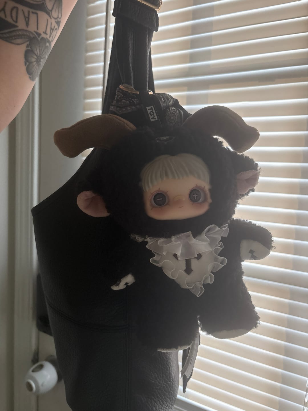 Customer photo review of MayMei Dark Forest Series Plush Blind Box