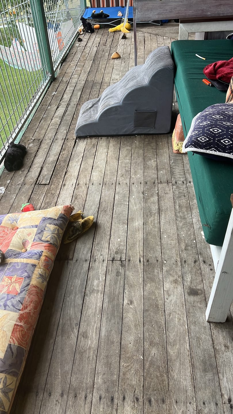 Customer photo review of Foam Pet Steps for Small & Large Dogs