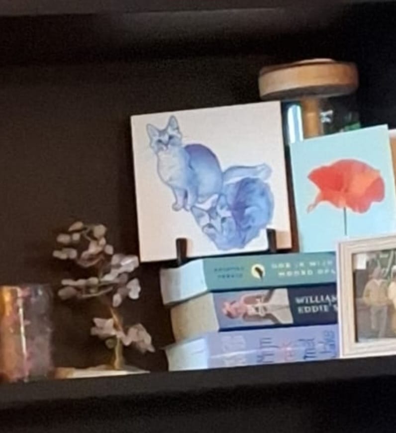 Customer photo review of Delfts Blauw tegeltje bedrukken met jouw eigen huisdier