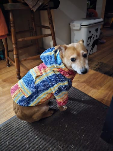 Customer photo review of Playa Poncho – Parrotfish