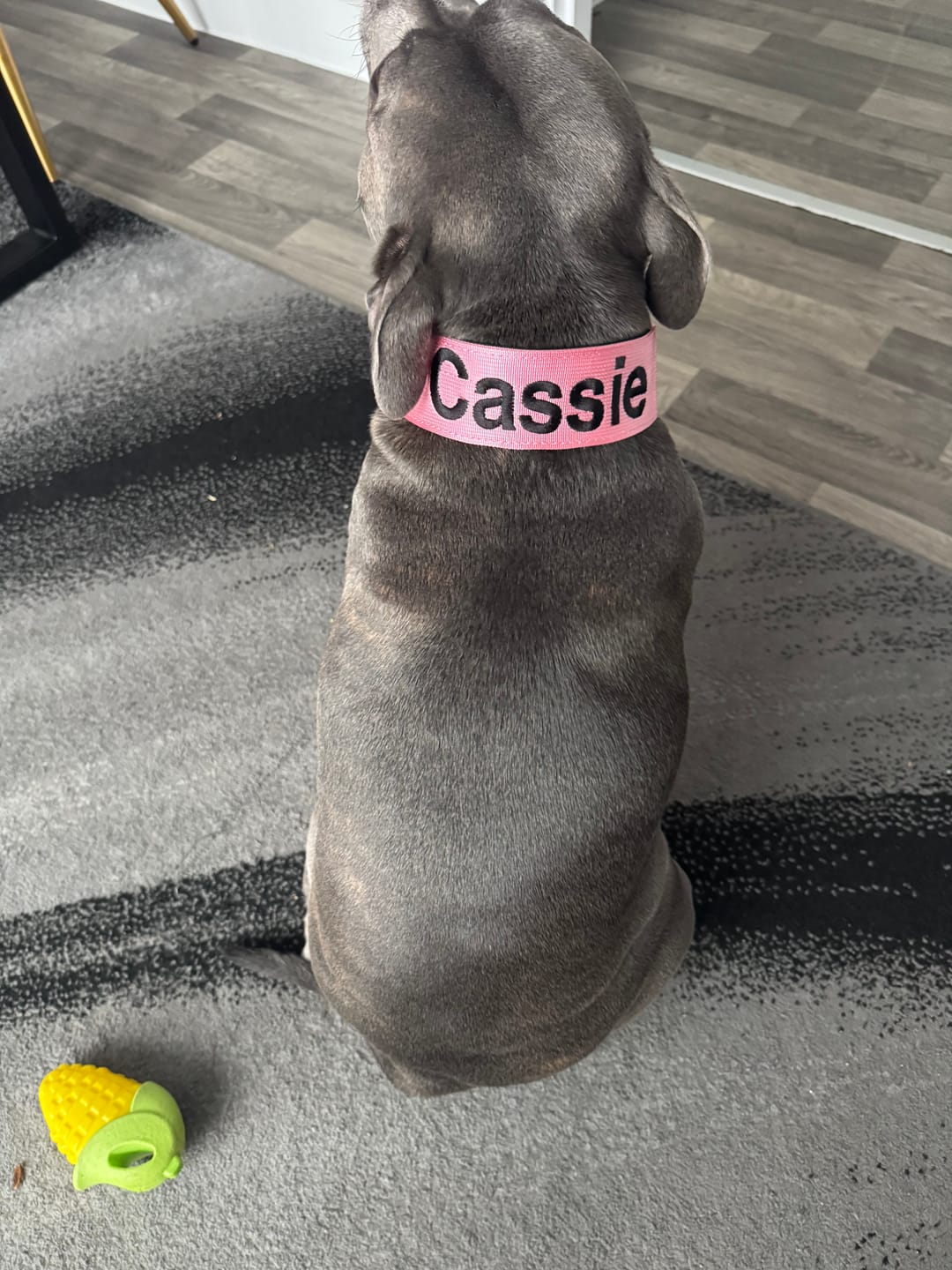 Customer photo review of Personalisation Fee £8.99
