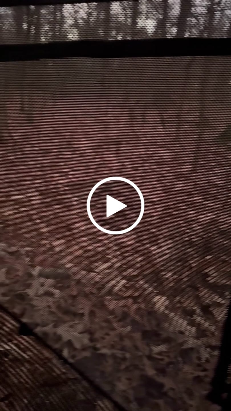 Customer video review of FLASH SALE VisX/VisMax See Through Hunting Blind, Pop Up Ground Deer Blind