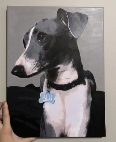 Customer photo review of Custom Pet Paint By Numbers