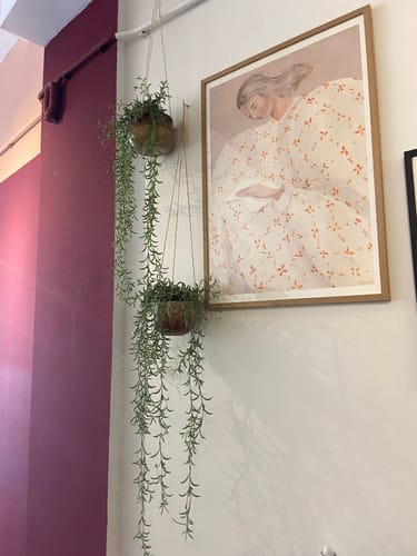 Customer photo review of Rozemarijn Kunst hangplant 70cm