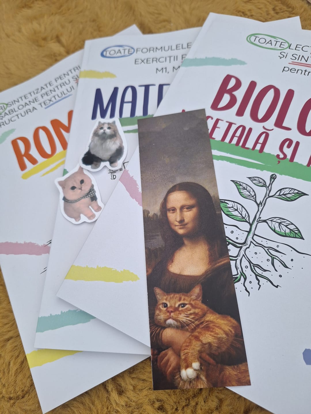 Customer photo review of Pachet Bacalaureat (Română + Matematică + Biologie Vegetală și Animală clasele IX-X) Bacademia