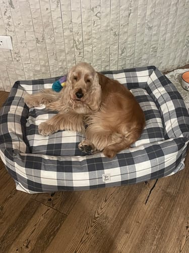 Customer photo review of Divanetto Cotone Panama Scozzese Trama Nocciola