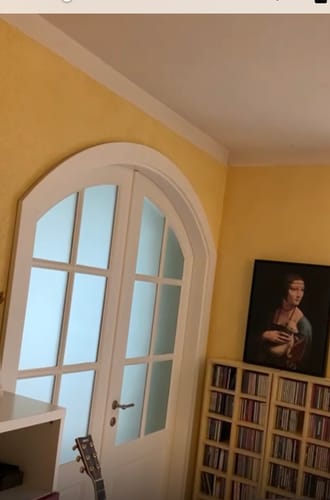 Customer photo review of Lady with an Ermine | Leonardo da Vinci | 1489