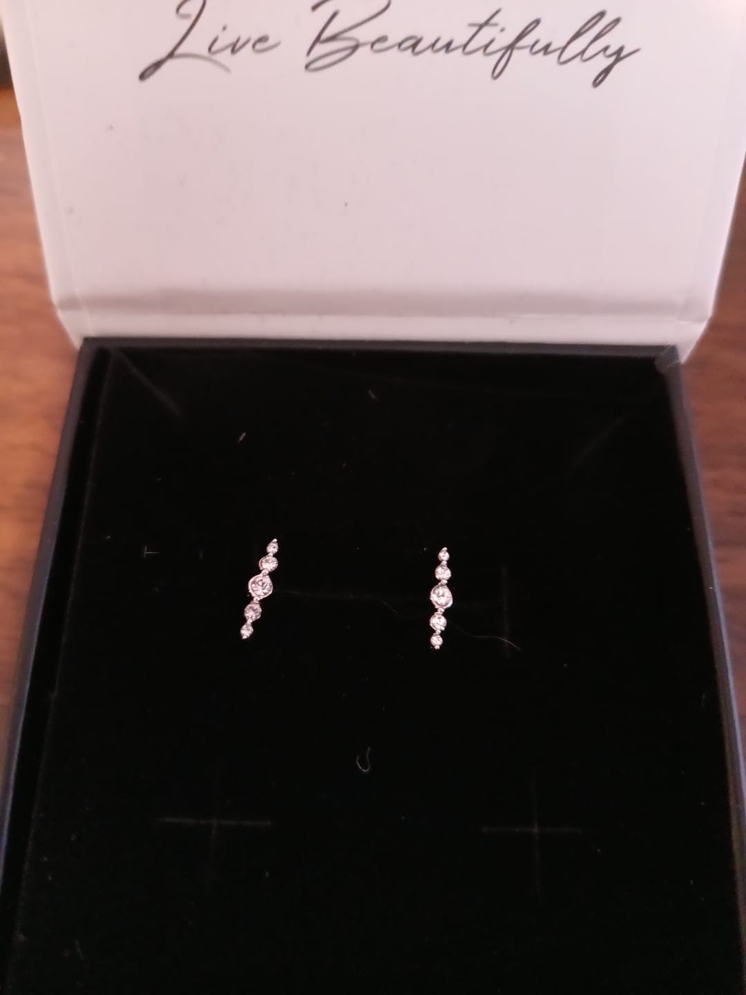 Customer photo review of Theadora 18k White Gold Plated Linear Stud Earrings with Swarovski Crystals