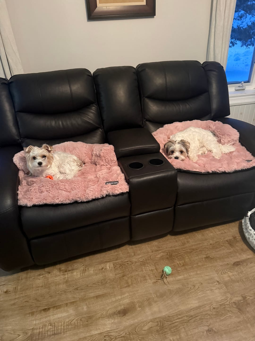 Customer photo review of Calming Fluffy Couch Cover Dog Bed - Pink
