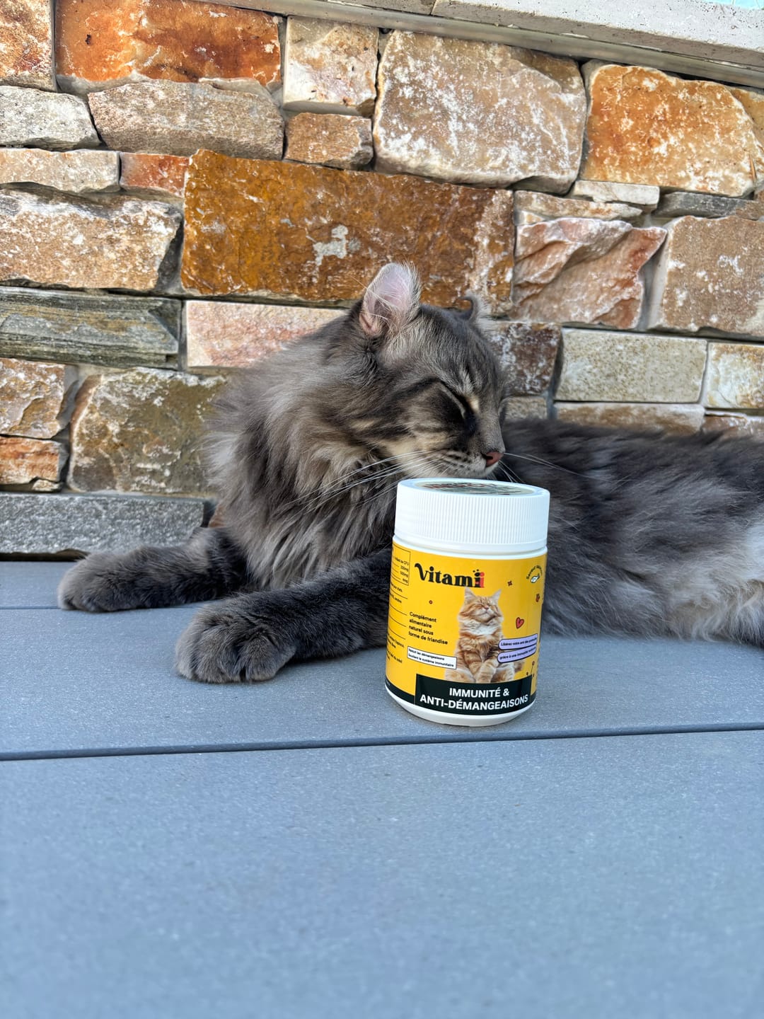 Customer photo review of Friandises Naturelles Immunité et Anti-Démangeaisons Chat