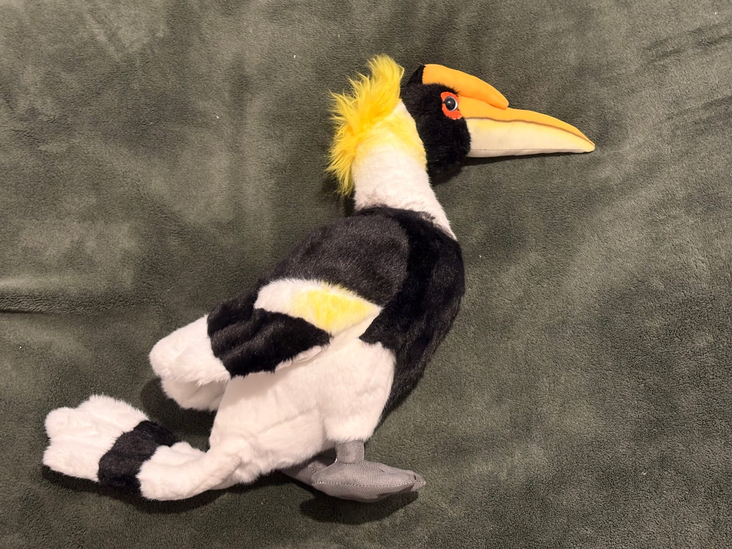 Customer photo review of Great Hornbill Bird Soft Stuffed Plush Toy