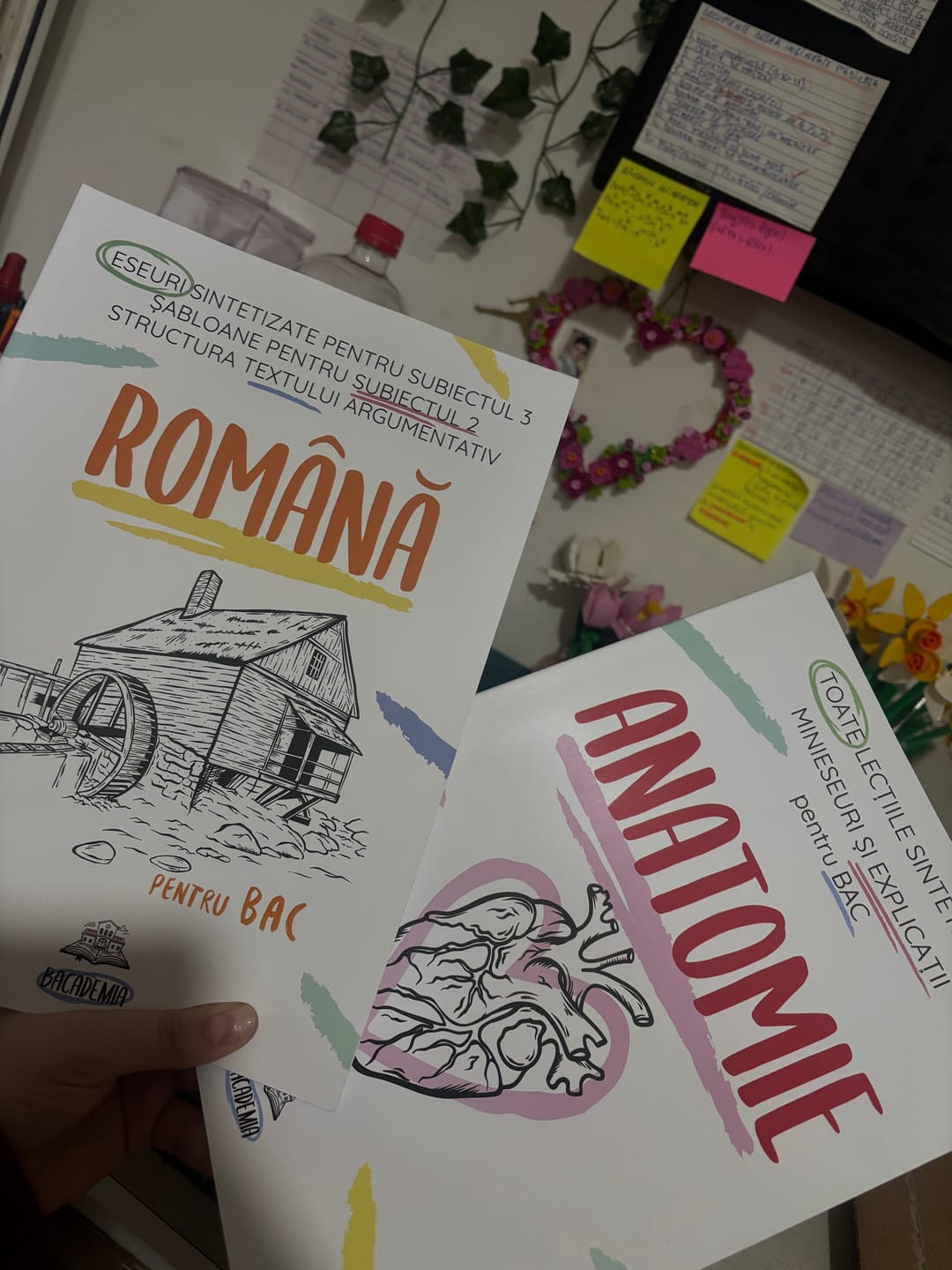 Customer photo review of Pachet Bacalaureat (Română + Anatomie clasele XI-XII) Bacademia