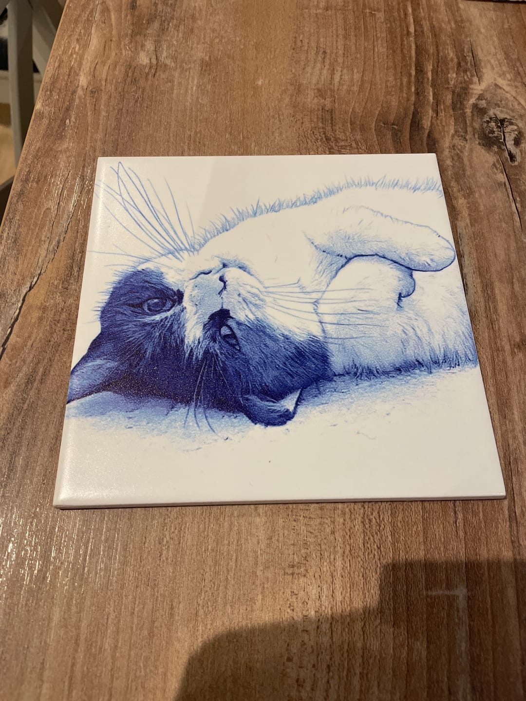 Customer photo review of Delfts Blauw tegeltje bedrukken met jouw eigen huisdier