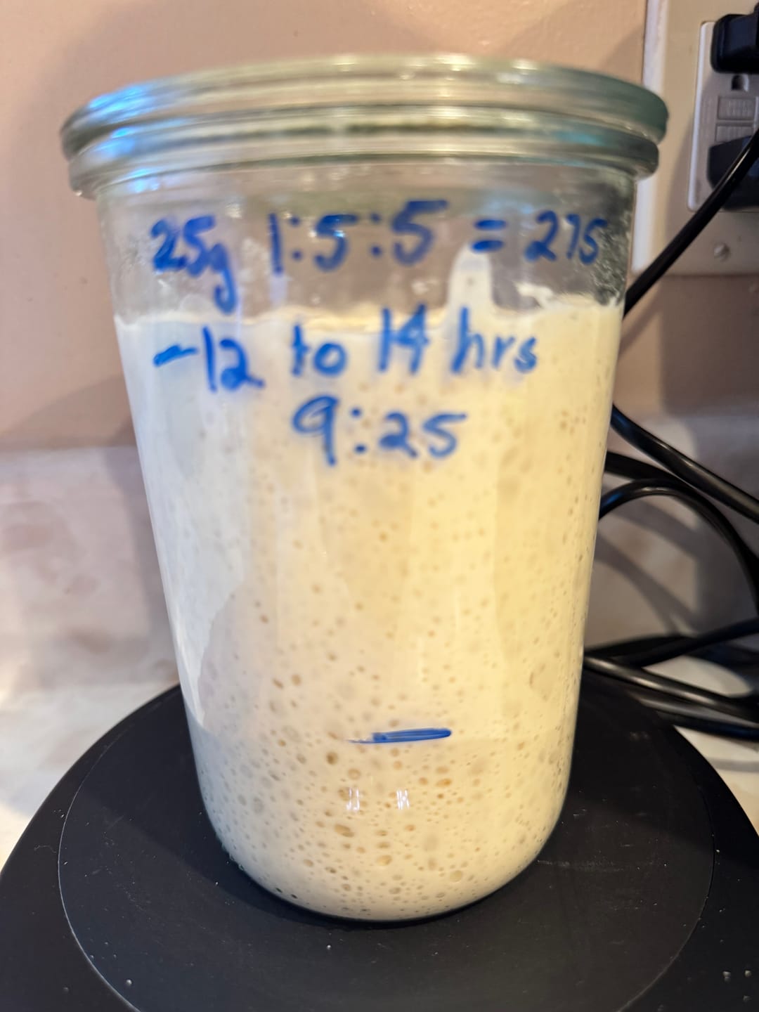 Customer photo review of Sourdough Starter Survival Guide | A Clear, Beginner-Friendly System for Feeding & Maintaining a Healthy Starter