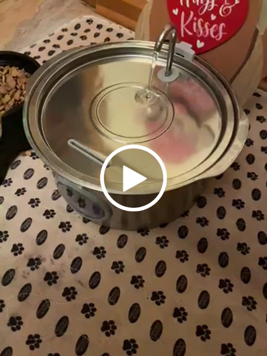 Customer video review of Pawdrate™ Filtered Water Fountain