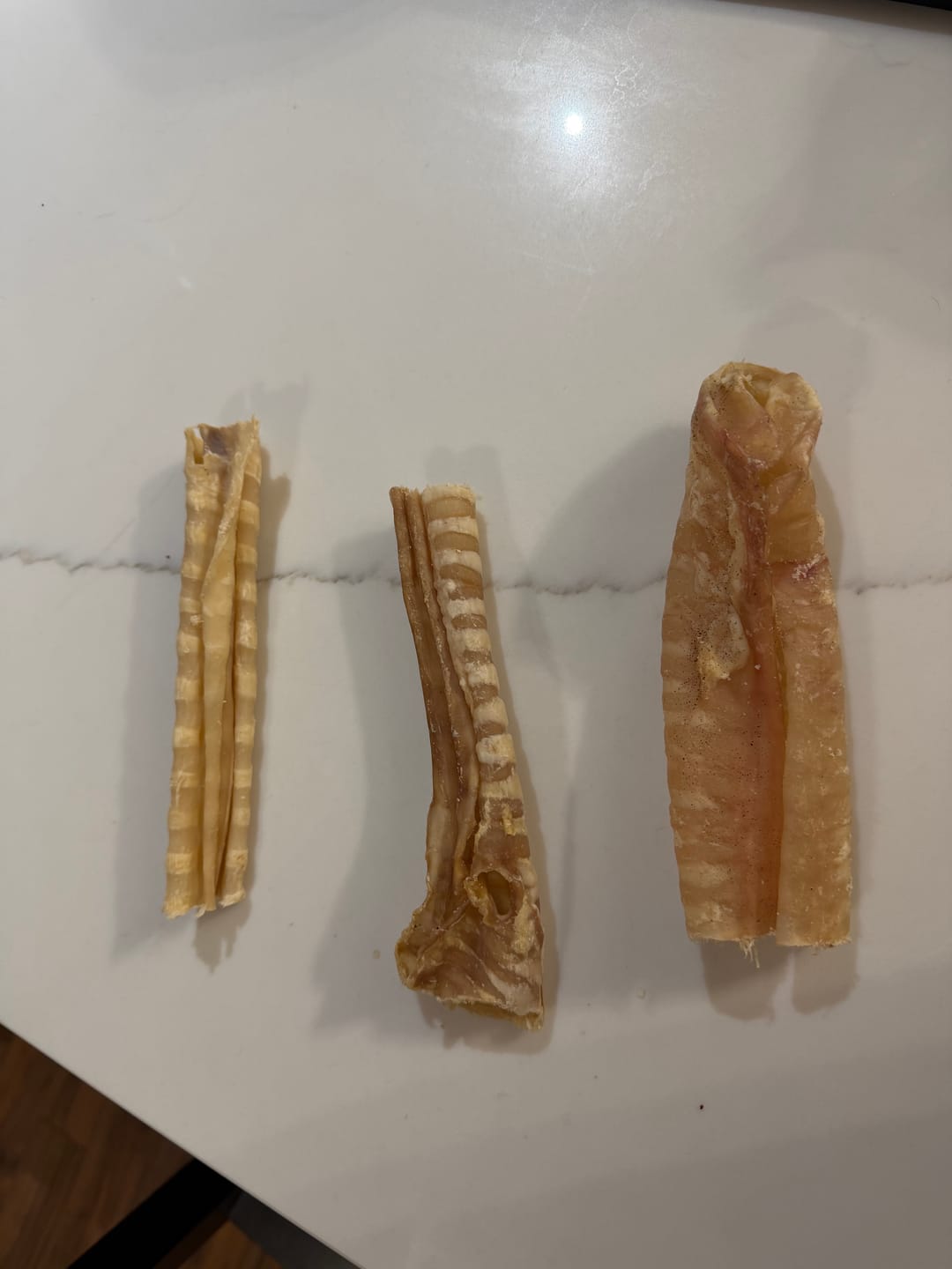 Customer photo review of 6 Inch Beef Trachea