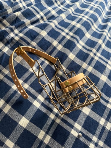 Customer photo review of Maulkorbberatung (online)