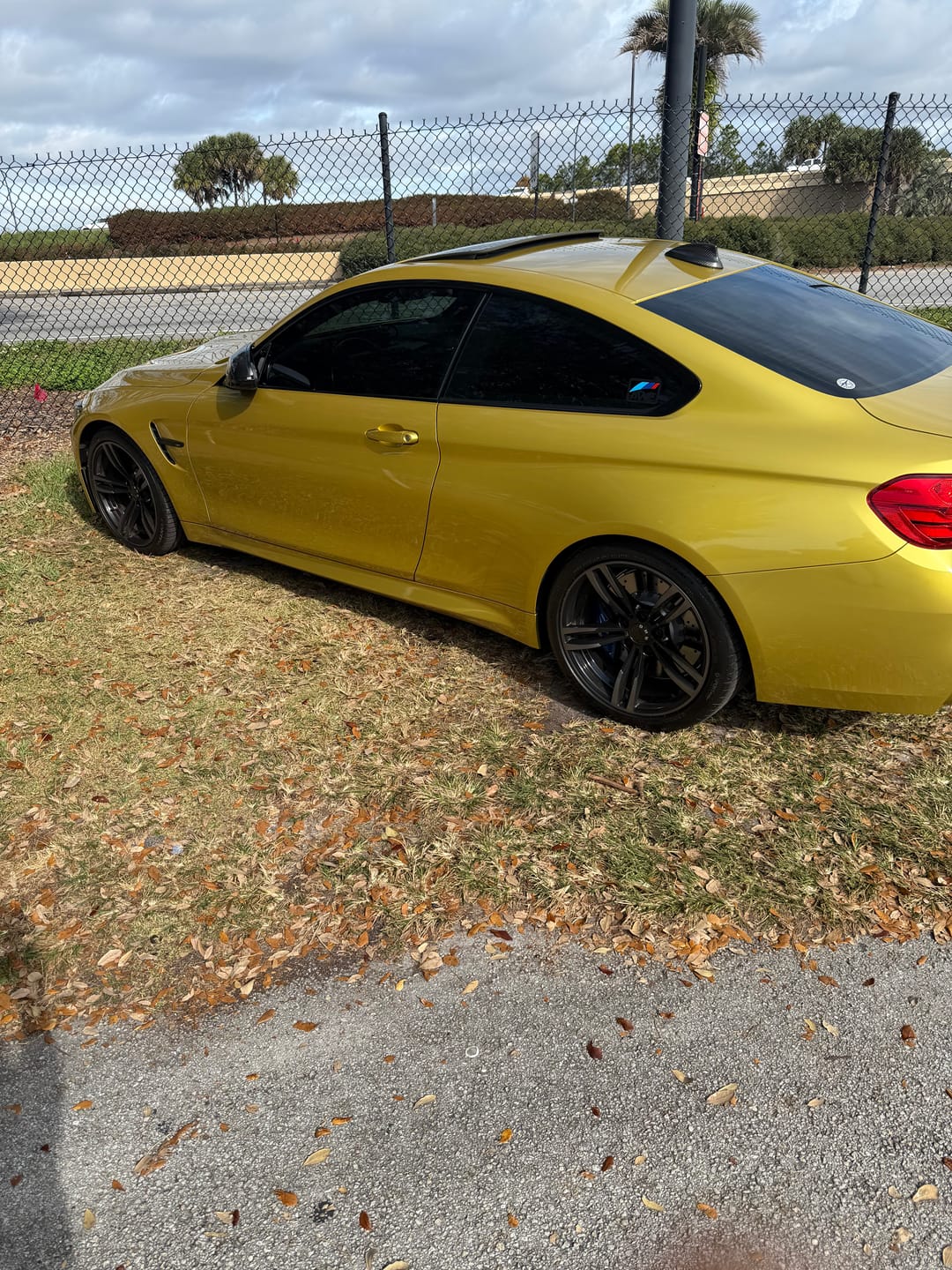 Customer photo review of BMW BLACK EMBLEM BADGE V2