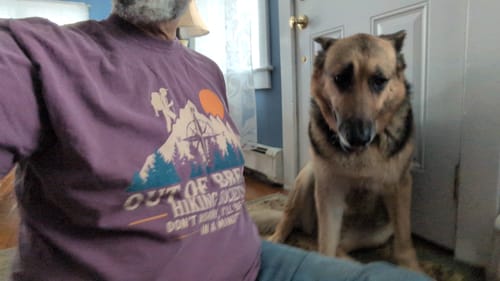 Reviewer wearing the purple Out Of Breath T-shirt, showing the graphic and relaxed fit while sitting indoors with a dog.